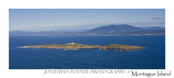 Montague Island, #3